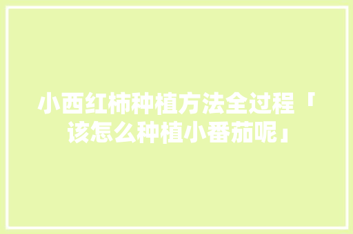 小西红柿种植方法全过程「该怎么种植小番茄呢」 小西红柿种植方法全过程「该怎么种植小番茄呢」 土壤施肥