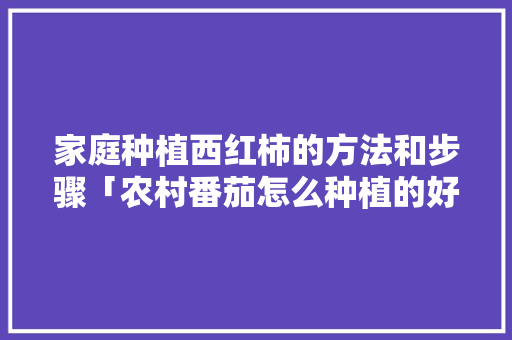 家庭种植西红柿的方法和步骤「农村番茄怎么种植的好些呢」 土壤施肥 家庭种植西红柿的方法和步骤「农村番茄怎么种植的好些呢」 家庭种植西红柿的方法和步骤「农村番茄怎么种植的好些呢」 土壤施肥