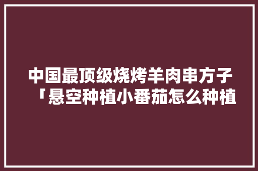 中国最顶级烧烤羊肉串方子「悬空种植小番茄怎么种植的」