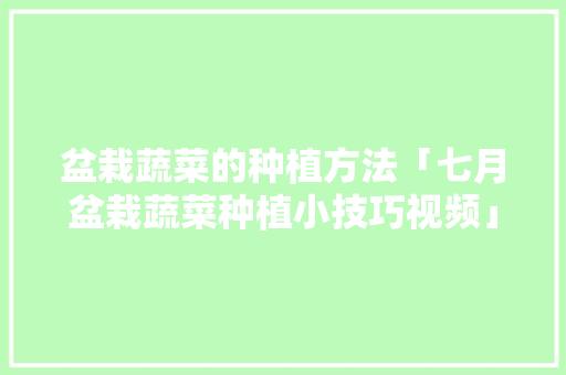 盆栽蔬菜的种植方法「七月盆栽蔬菜种植小技巧视频」 盆栽蔬菜的种植方法「七月盆栽蔬菜种植小技巧视频」 农业常识