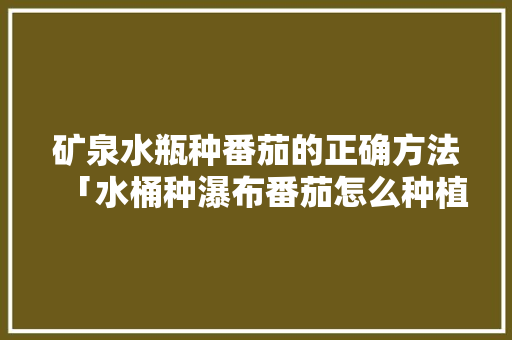 矿泉水瓶种番茄的正确方法「水桶种瀑布番茄怎么种植的」 矿泉水瓶种番茄的正确方法「水桶种瀑布番茄怎么种植的」 番茄种植技巧