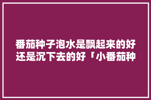 番茄种子泡水是飘起来的好还是沉下去的好「小番茄种子怎么泡水种植视频」 番茄种子泡水是飘起来的好还是沉下去的好「小番茄种子怎么泡水种植视频」 番茄种植技巧