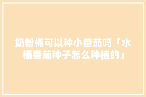 奶粉桶可以种小番茄吗「水桶番茄种子怎么种植的」 奶粉桶可以种小番茄吗「水桶番茄种子怎么种植的」 植物种类