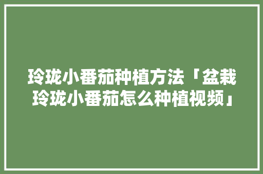 玲珑小番茄种植方法「盆栽玲珑小番茄怎么种植视频」