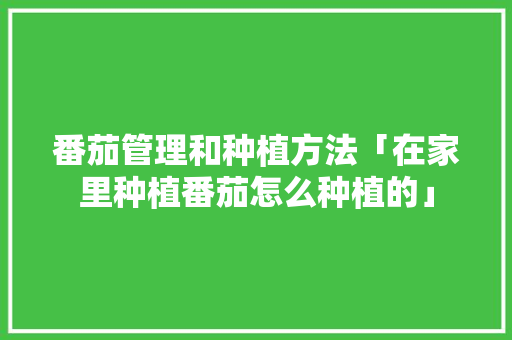 番茄管理和种植方法「在家里种植番茄怎么种植的」 番茄管理和种植方法「在家里种植番茄怎么种植的」 土壤施肥