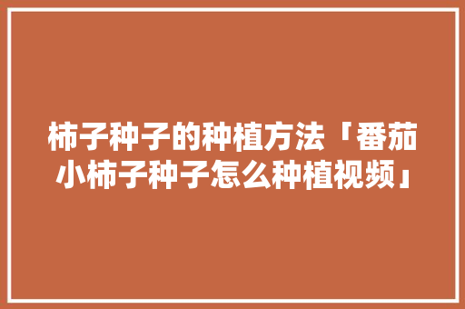 柿子种子的种植方法「番茄小柿子种子怎么种植视频」 种植技巧 柿子种子的种植方法「番茄小柿子种子怎么种植视频」 柿子种子的种植方法「番茄小柿子种子怎么种植视频」 种植技巧