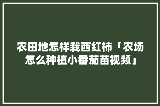 农田地怎样栽西红柿「农场怎么种植小番茄苗视频」 农田地怎样栽西红柿「农场怎么种植小番茄苗视频」 植物种类