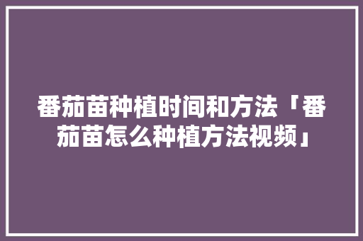番茄苗种植时间和方法「番茄苗怎么种植方法视频」 番茄苗种植时间和方法「番茄苗怎么种植方法视频」 种植技巧