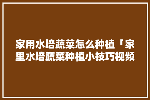 家用水培蔬菜怎么种植「家里水培蔬菜种植小技巧视频」 家用水培蔬菜怎么种植「家里水培蔬菜种植小技巧视频」 种植技巧