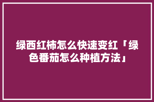 绿西红柿怎么快速变红「绿色番茄怎么种植方法」 绿西红柿怎么快速变红「绿色番茄怎么种植方法」 番茄种植技巧
