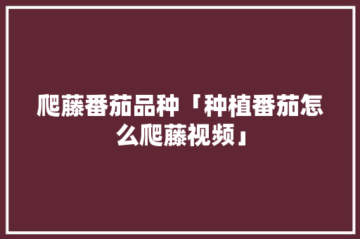爬藤番茄品种「种植番茄怎么爬藤视频」 爬藤番茄品种「种植番茄怎么爬藤视频」 番茄病虫害防治