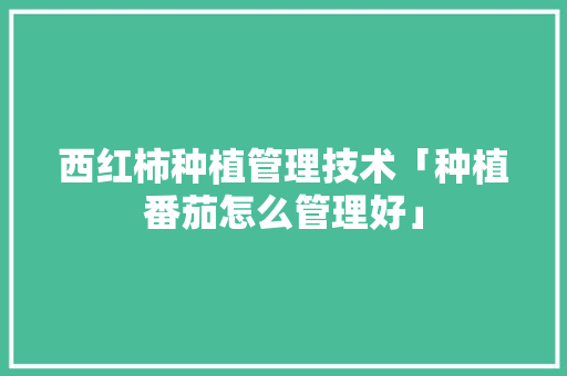 西红柿种植管理技术「种植番茄怎么管理好」 西红柿种植管理技术「种植番茄怎么管理好」 植物种类