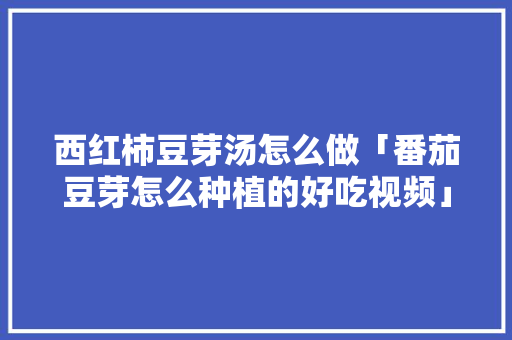 西红柿豆芽汤怎么做「番茄豆芽怎么种植的好吃视频」 西红柿豆芽汤怎么做「番茄豆芽怎么种植的好吃视频」 花朵知识
