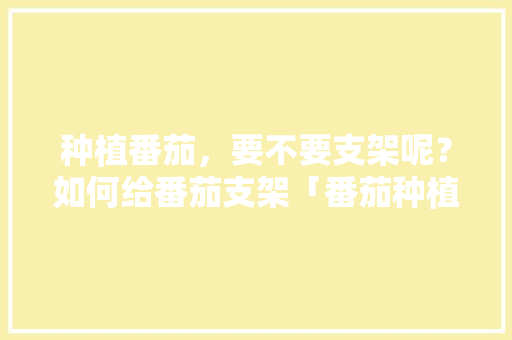种植番茄，要不要支架呢？如何给番茄支架「番茄种植怎么固定土壤」 种植番茄，要不要支架呢？如何给番茄支架「番茄种植怎么固定土壤」 番茄种植技巧