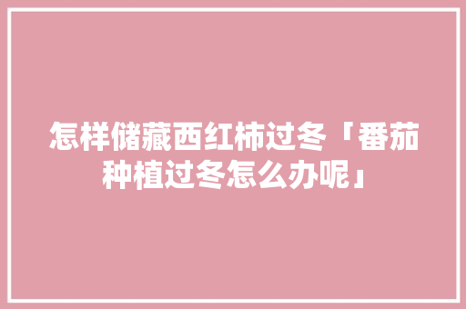 怎样储藏西红柿过冬「番茄种植过冬怎么办呢」 怎样储藏西红柿过冬「番茄种植过冬怎么办呢」 种植技巧