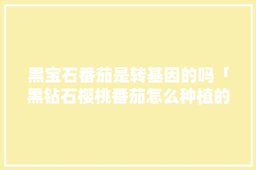 黑宝石番茄是转基因的吗「黑钻石樱桃番茄怎么种植的」 黑宝石番茄是转基因的吗「黑钻石樱桃番茄怎么种植的」 种植技巧