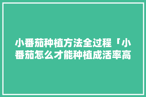 小番茄种植方法全过程「小番茄怎么才能种植成活率高」 小番茄种植方法全过程「小番茄怎么才能种植成活率高」 植物种类