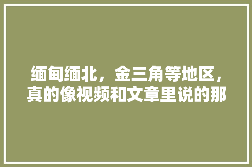 缅甸缅北，金三角等地区，真的像视频和文章里说的那么可怕吗「蔬菜种植小技巧生根视频教程」