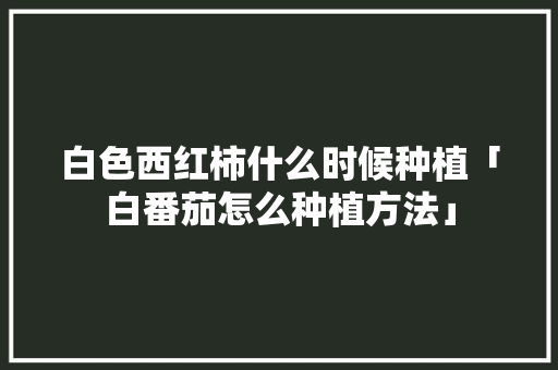 白色西红柿什么时候种植「白番茄怎么种植方法」 白色西红柿什么时候种植「白番茄怎么种植方法」 农业常识