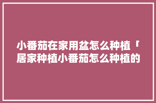 小番茄在家用盆怎么种植「居家种植小番茄怎么种植的」 小番茄在家用盆怎么种植「居家种植小番茄怎么种植的」 植物种类
