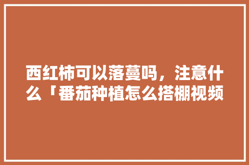 西红柿可以落蔓吗，注意什么「番茄种植怎么搭棚视频教程」 西红柿可以落蔓吗，注意什么「番茄种植怎么搭棚视频教程」 花朵知识