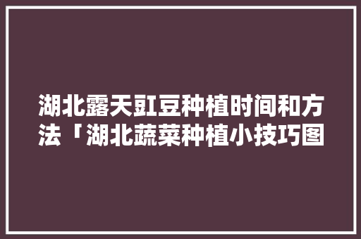湖北露天豇豆种植时间和方法「湖北蔬菜种植小技巧图片大全」 种植技巧 湖北露天豇豆种植时间和方法「湖北蔬菜种植小技巧图片大全」 湖北露天豇豆种植时间和方法「湖北蔬菜种植小技巧图片大全」 种植技巧