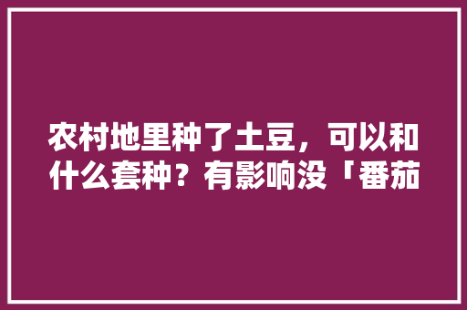农村地里种了土豆，可以和什么套种？有影响没「番茄种植大垄怎么种植视频」 农村地里种了土豆，可以和什么套种？有影响没「番茄种植大垄怎么种植视频」 土壤施肥