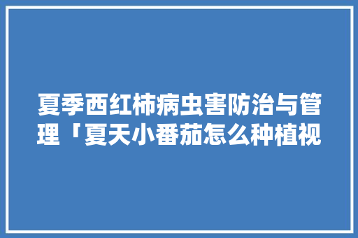 夏季西红柿病虫害防治与管理「夏天小番茄怎么种植视频」 夏季西红柿病虫害防治与管理「夏天小番茄怎么种植视频」 农业常识