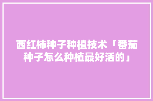 西红柿种子种植技术「番茄种子怎么种植最好活的」 西红柿种子种植技术「番茄种子怎么种植最好活的」 番茄种植技巧