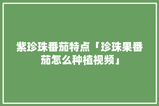 紫珍珠番茄特点「珍珠果番茄怎么种植视频」 番茄种植技巧 紫珍珠番茄特点「珍珠果番茄怎么种植视频」 紫珍珠番茄特点「珍珠果番茄怎么种植视频」 番茄种植技巧