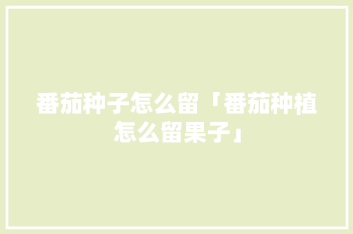 番茄种子怎么留「番茄种植怎么留果子」
