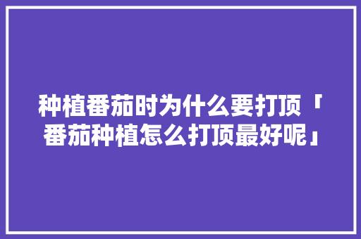 种植番茄时为什么要打顶「番茄种植怎么打顶最好呢」 种植番茄时为什么要打顶「番茄种植怎么打顶最好呢」 种植技巧