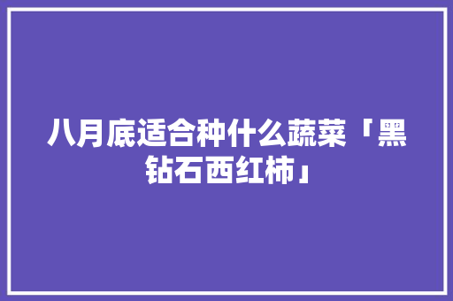 八月底适合种什么蔬菜「黑钻石西红柿」