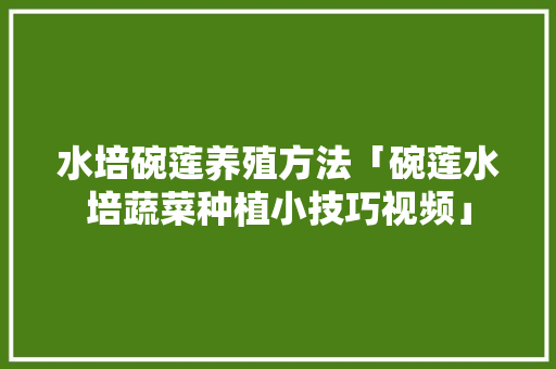 水培碗莲养殖方法「碗莲水培蔬菜种植小技巧视频」 水培碗莲养殖方法「碗莲水培蔬菜种植小技巧视频」 番茄种植技巧