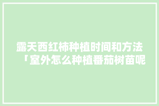 露天西红柿种植时间和方法「室外怎么种植番茄树苗呢视频」 露天西红柿种植时间和方法「室外怎么种植番茄树苗呢视频」 花朵知识