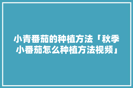 小青番茄的种植方法「秋季小番茄怎么种植方法视频」 小青番茄的种植方法「秋季小番茄怎么种植方法视频」 农业常识