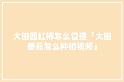 大田西红柿怎么管理「大田番茄怎么种植视频」 花朵知识 大田西红柿怎么管理「大田番茄怎么种植视频」 大田西红柿怎么管理「大田番茄怎么种植视频」 花朵知识