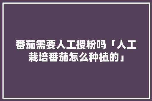 番茄需要人工授粉吗「人工栽培番茄怎么种植的」 番茄需要人工授粉吗「人工栽培番茄怎么种植的」 种植技巧