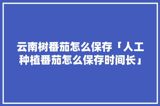 云南树番茄怎么保存「人工种植番茄怎么保存时间长」