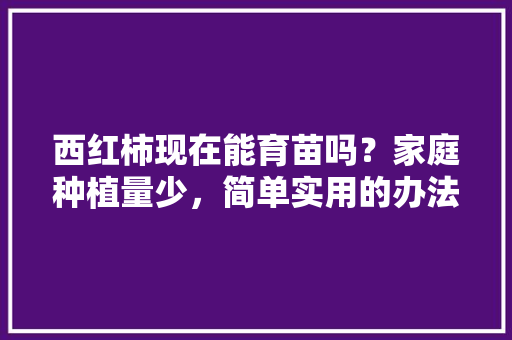 西红柿现在能育苗吗？家庭种植量少，简单实用的办法有什么「番茄不育苗怎么种植视频」 西红柿现在能育苗吗？家庭种植量少，简单实用的办法有什么「番茄不育苗怎么种植视频」 花朵知识