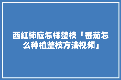 西红柿应怎样整枝「番茄怎么种植整枝方法视频」 农业常识 西红柿应怎样整枝「番茄怎么种植整枝方法视频」 西红柿应怎样整枝「番茄怎么种植整枝方法视频」 农业常识