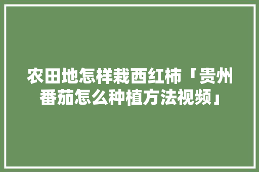 农田地怎样栽西红柿「贵州番茄怎么种植方法视频」 农田地怎样栽西红柿「贵州番茄怎么种植方法视频」 土壤施肥