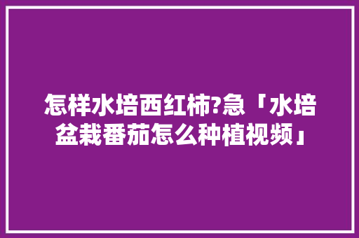 怎样水培西红柿?急「水培盆栽番茄怎么种植视频」 怎样水培西红柿?急「水培盆栽番茄怎么种植视频」 番茄种植技巧
