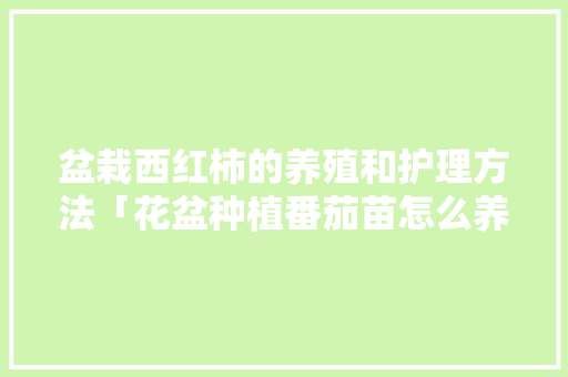 盆栽西红柿的养殖和护理方法「花盆种植番茄苗怎么养护好」 盆栽西红柿的养殖和护理方法「花盆种植番茄苗怎么养护好」 种植技巧