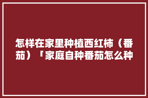 怎样在家里种植西红柿（番茄）「家庭自种番茄怎么种植视频」 怎样在家里种植西红柿（番茄）「家庭自种番茄怎么种植视频」 植物种类