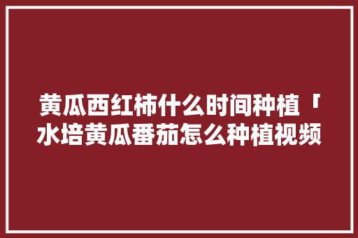 黄瓜西红柿什么时间种植「水培黄瓜番茄怎么种植视频」 黄瓜西红柿什么时间种植「水培黄瓜番茄怎么种植视频」 种植技巧