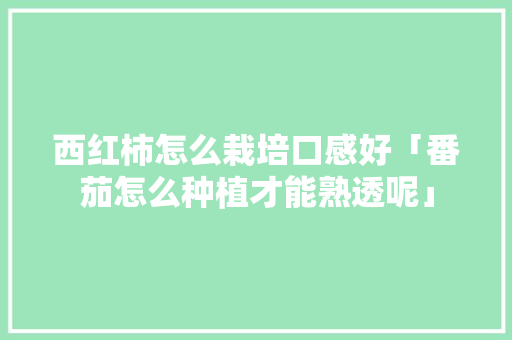 西红柿怎么栽培口感好「番茄怎么种植才能熟透呢」 西红柿怎么栽培口感好「番茄怎么种植才能熟透呢」 种植技巧