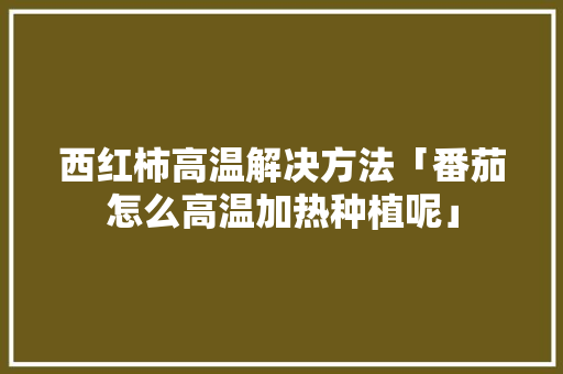 西红柿高温解决方法「番茄怎么高温加热种植呢」
