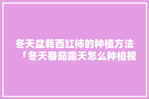 冬天盆栽西红柿的种植方法「冬天番茄露天怎么种植视频」 冬天盆栽西红柿的种植方法「冬天番茄露天怎么种植视频」 种植技巧
