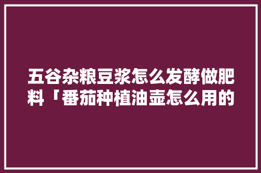五谷杂粮豆浆怎么发酵做肥料「番茄种植油壶怎么用的视频」 五谷杂粮豆浆怎么发酵做肥料「番茄种植油壶怎么用的视频」 花朵知识